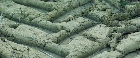 污泥當淤泥處理被罰150萬，別“瞎處理”！污泥這樣處理能賺1個億…..